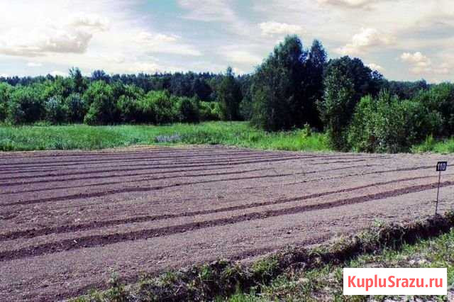 Участок ИЖС 14 сот. на продажу в Заокском Заокский - изображение 1