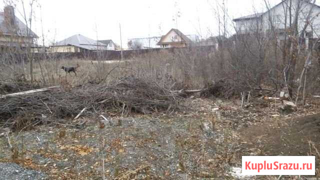 Участок СНТ, ДНП 1156 сот. на продажу в Саратове Саратов - изображение 1
