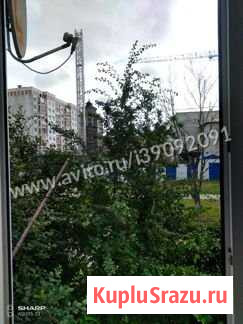 3-комнатная квартира, 63.1 м², 1/5 эт. на продажу в Калининграде Калининград - изображение 3