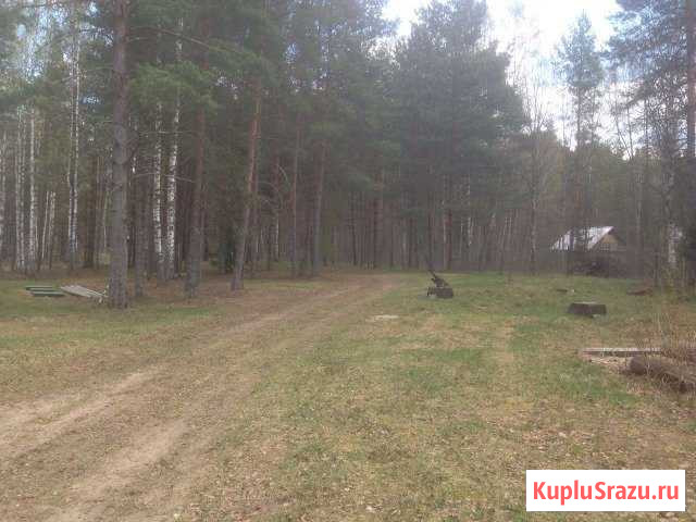 Участок СНТ, ДНП 15 сот. на продажу в Кашине Кашин - изображение 2