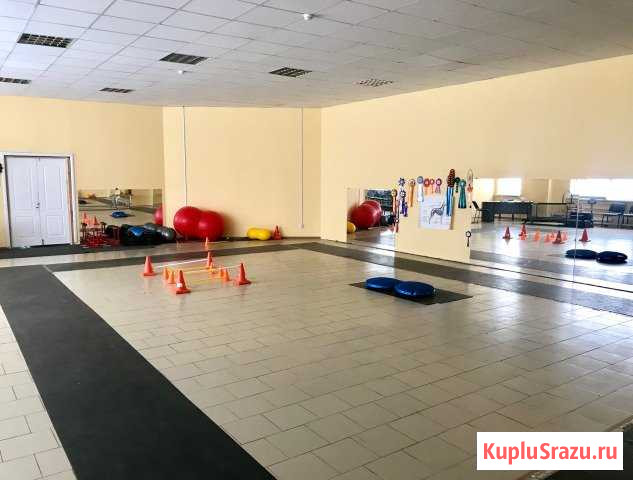 Помещение 200 кв.м. р-н Сенного с парковкой Саратов - изображение 2