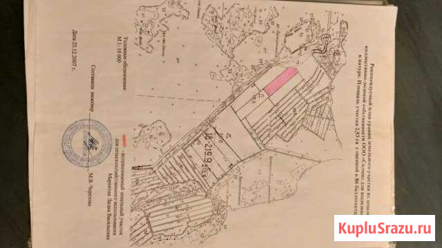 Участок СНТ, ДНП 250 сот. на продажу в Санкт-Петербурге Санкт-Петербург - изображение 1