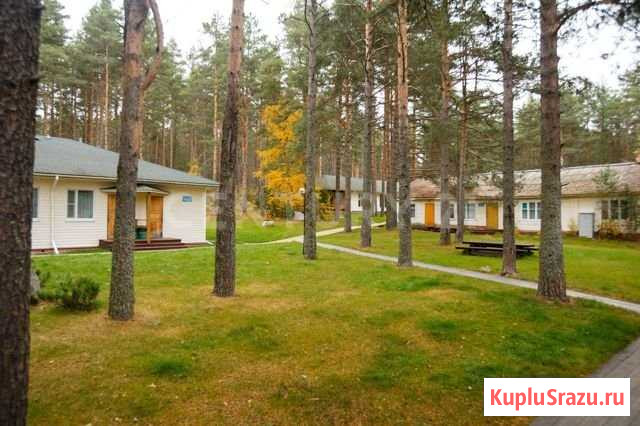 Продажа базы отдыха Алёкка на оз.Сямозеро Пряжа - изображение 2