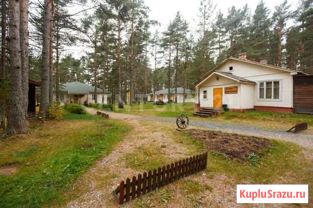 Продажа базы отдыха Алёкка на оз.Сямозеро Пряжа - изображение 3