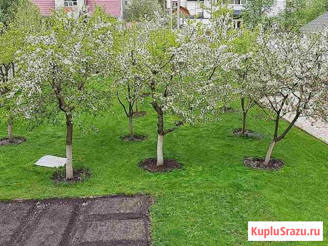 Коттедж 240 м² на участке 20 сот. на продажу в Путевке Путевка - изображение 3