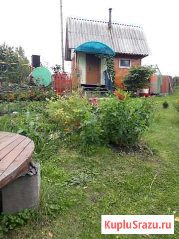 Дача 60 м² на участке 13 сот. на продажу в Новокузнецке Новокузнецк - изображение 1