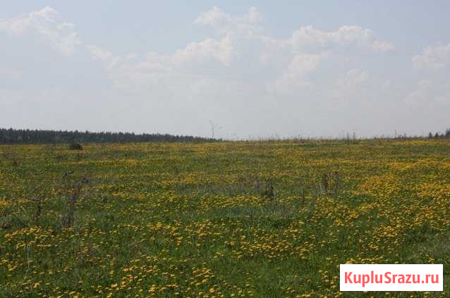 Участок ИЖС 15 сот. на продажу в Красной Горке Красная Горка - изображение 1