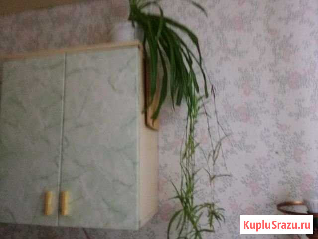 1-комнатная квартира, 30 м², 2/5 эт. в аренду на длительный срок в Калуге Калуга - изображение 1