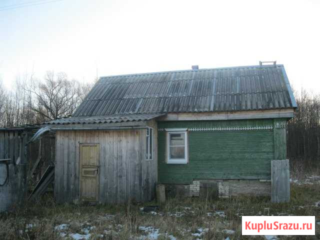 Дом 30 м² на участке 10 сот. на продажу в Парфино Парфино - изображение 2