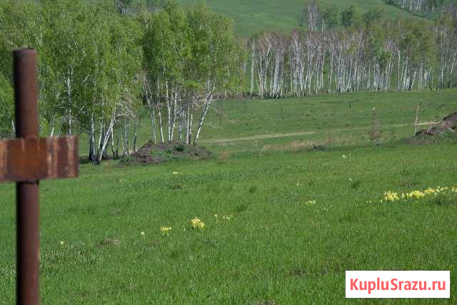 Участок СНТ, ДНП 10 сот. на продажу в Красноярске Красноярск - изображение 3