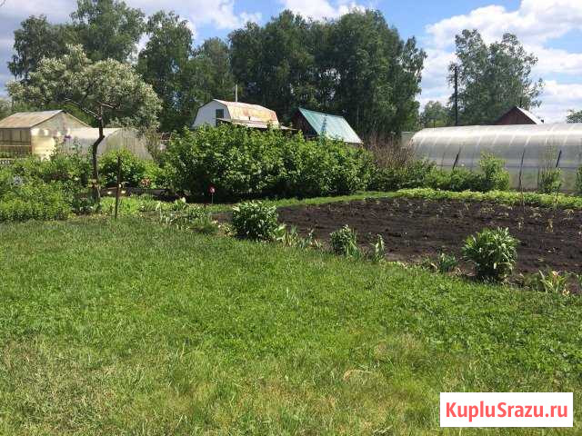 Участок СНТ, ДНП 6 сот. на продажу в Кемерово Кемерово - изображение 3