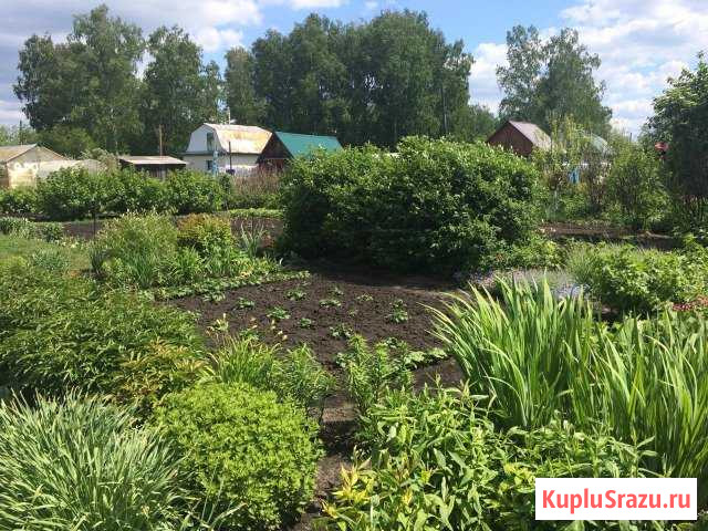 Участок СНТ, ДНП 6 сот. на продажу в Кемерово Кемерово - изображение 2