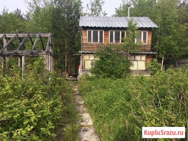 Дача 100 м² на участке 7 сот. на продажу в Сургуте Ханты-Мансийского АО Сургут - изображение 1