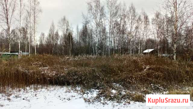 Участок СНТ, ДНП 6 сот. на продажу в Ликино-Дулево Ликино-Дулево - изображение 1