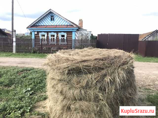 Дом 55 м² на участке 14 сот. на продажу в Столбище Столбище - изображение 3