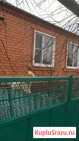 Дом 42 м² на участке 13 сот. на продажу в Натырбово Натырбово - изображение 1