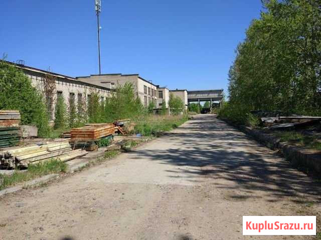 Помещение свободного назначения, 577 кв.м. Сосновый Бор - изображение 3