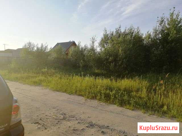 Участок СНТ, ДНП 21 сот. на продажу в Барсово Барсово - изображение 2