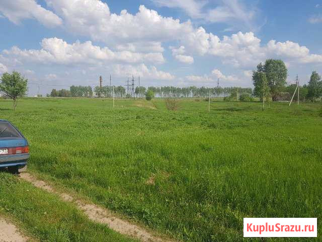Участок СНТ, ДНП 12 сот. на продажу в Добруне Добрунь - изображение 2