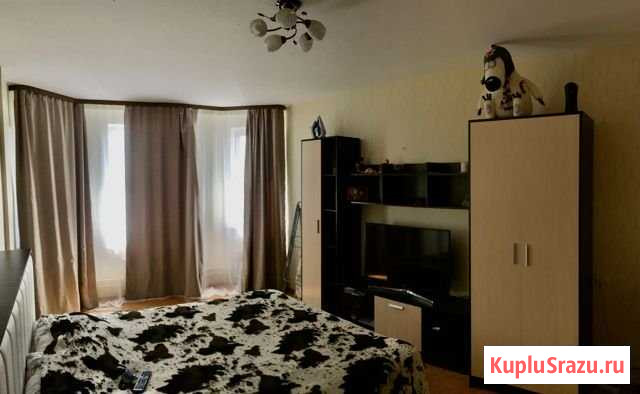 1-комнатная квартира, 41.2 м², 5/17 эт. на продажу в Нижнем Новгороде Нижний Новгород - изображение 2