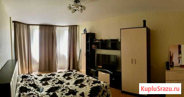 1-комнатная квартира, 41.2 м², 5/17 эт. на продажу в Нижнем Новгороде Нижний Новгород - изображение 1