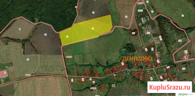Участок СНТ, ДНП 2820 сот. на продажу в Ясногорске Тульской области Ясногорск - изображение 1