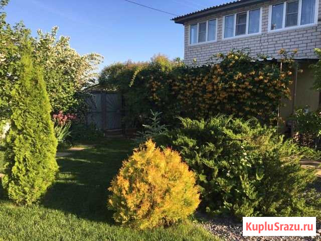Дача 60 м² на участке 6 сот. на продажу в Дубовке Волгоградской области Дубовка - изображение 1