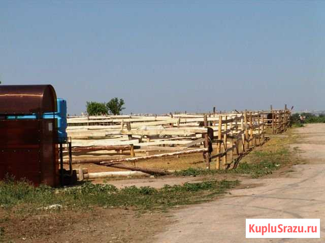 Участок СНТ, ДНП 270 сот. на продажу в Самаре Самара - изображение 1