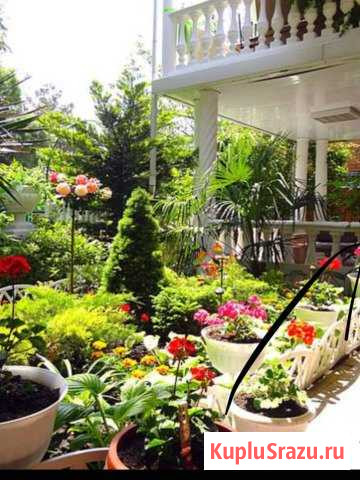 Комната 15 м² в 5-ком. кв., 2/2 эт. в аренду посуточно в Дивноморском Дивноморское - изображение 3