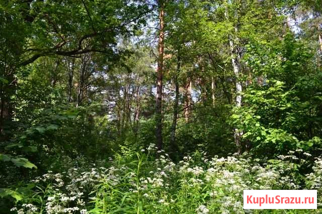 Участок ИЖС 6 сот. на продажу в Химках Химки - изображение 3
