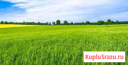 Участок СНТ, ДНП 5 сот. на продажу в Горном Щите Горный Щит - изображение 1