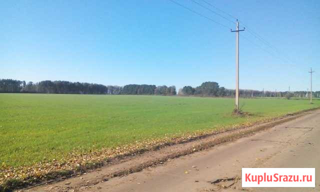 Участок СНТ, ДНП 550 сот. на продажу в Знаменке Орловской области Знаменка - изображение 3