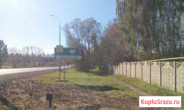 Участок СНТ, ДНП 550 сот. на продажу в Знаменке Орловской области Знаменка - изображение 1