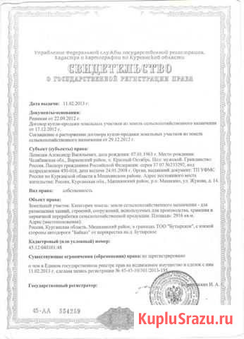 Участок СНТ, ДНП 1600 сот. на продажу в Мишкино Курганской области Мишкино - изображение 2