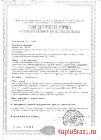Участок СНТ, ДНП 1600 сот. на продажу в Мишкино Курганской области Мишкино - изображение 1