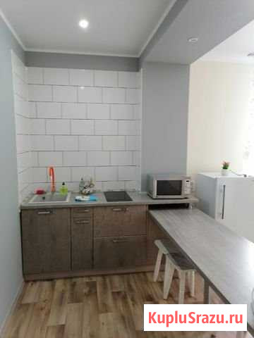 Квартира-студия, 25 м², 3/3 эт. в аренду посуточно в Белокурихе Белокуриха - изображение 1