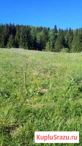 Участок ИЖС 6 сот. на продажу в Перми Пермь - изображение 2