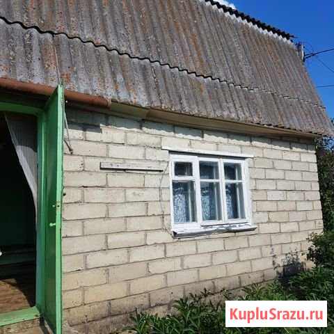 Дача 36 м² на участке 6 сот. на продажу в Хорлово Хорлово - изображение 3