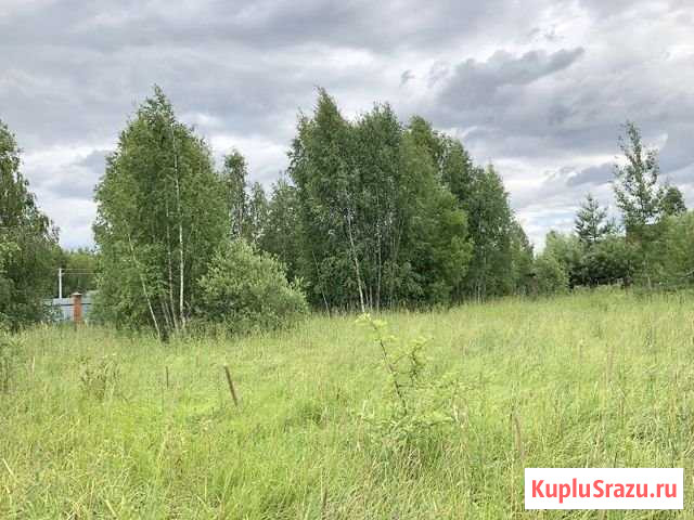 Участок ИЖС 15 сот. на продажу в Мещерино Мещерино - изображение 2