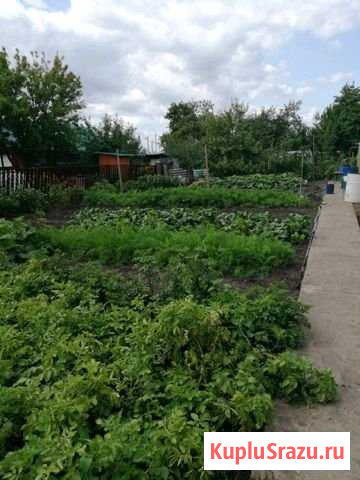 Участок СНТ, ДНП 5 сот. на продажу в Тольятти Тольятти - изображение 2