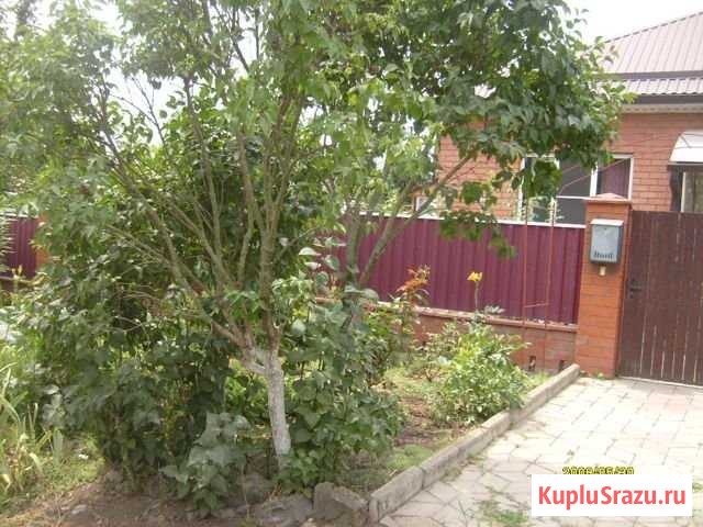 Дом 82 м² на участке 5 сот. на продажу в Пластуновской Пластуновская - изображение 1