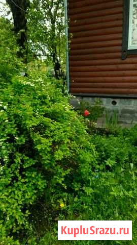 Дача 70 м² на участке 8 сот. в аренду на длительный срок в Долгопрудном Долгопрудный - изображение 3