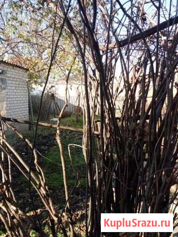 Дом 110 м² на участке 5 сот. на продажу в Михайловске Ставропольского края Михайловск - изображение 2
