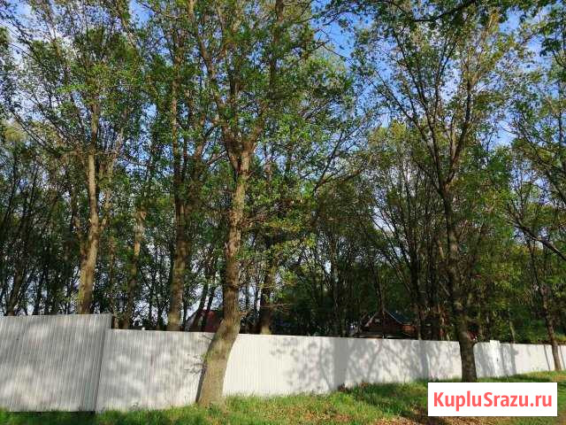 Участок СНТ, ДНП 36 сот. на продажу в Хрящевке Хрящевка - изображение 2