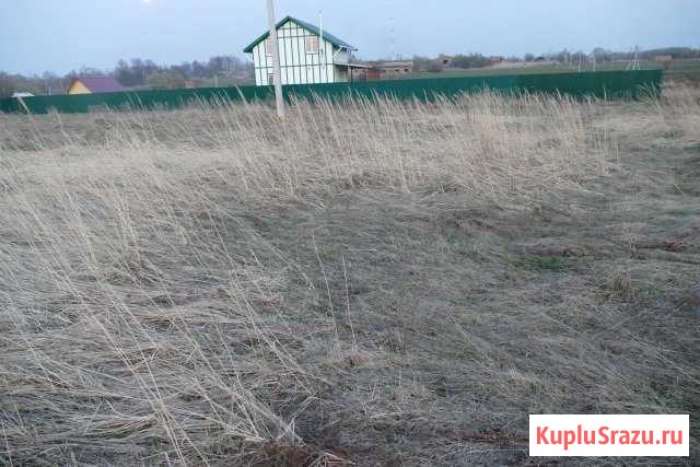 Участок ИЖС 20 сот. на продажу в Кашире Кашира - изображение 3