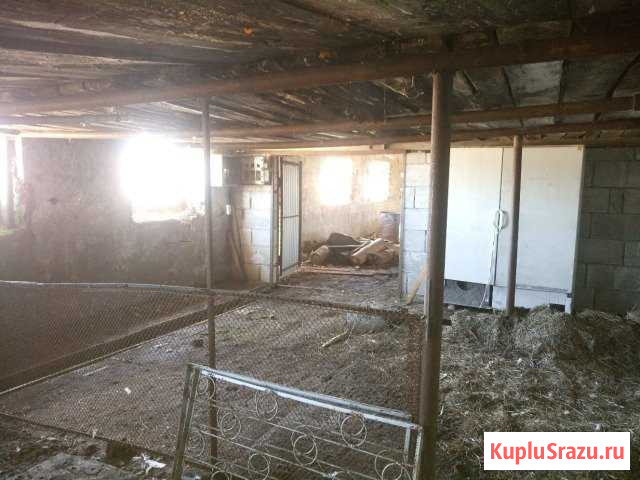 Здание фермы, коровник Аскино - изображение 2