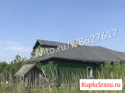 Дом 60 м² на участке 60 сот. на продажу в Рыбинске Рыбинск - изображение 2