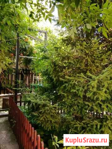 Дом 265 м² на участке 3.5 сот. на продажу в Батайске Батайск - изображение 3