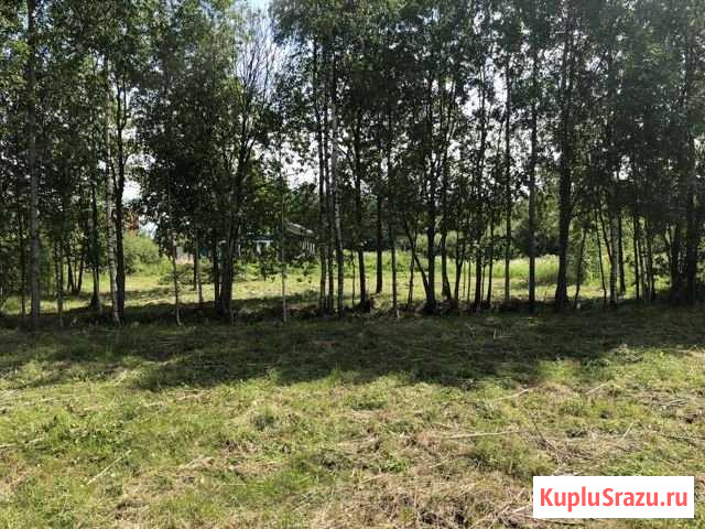 Участок СНТ, ДНП 9 сот. на продажу в Ладожском Озере Ладожское Озеро - изображение 1