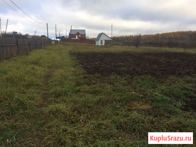 Участок ИЖС 20 сот. на продажу в Чернушке Чернушка - изображение 3